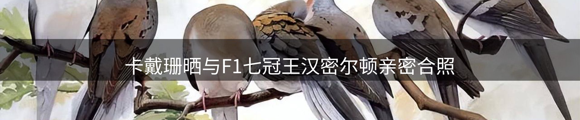 赛事资讯