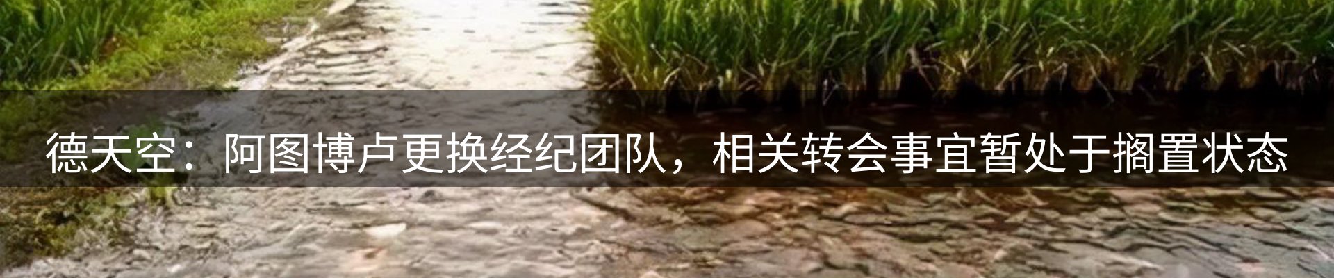 赛事资讯